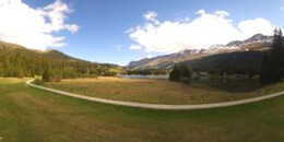 Heidsee Bargias