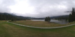 Heidsee Bargias