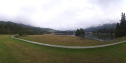 Heidsee Bargias