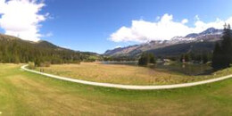 Heidsee Bargias