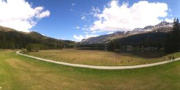 Heidsee Bargias