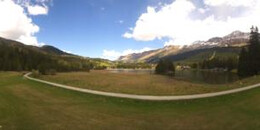 Heidsee Bargias