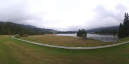 Heidsee Bargias