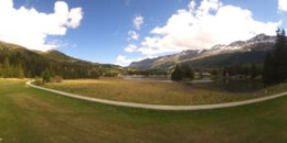 Heidsee Bargias