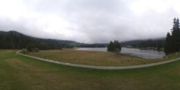 Heidsee Bargias