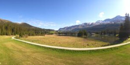 Heidsee Bargias
