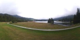 Heidsee Bargias