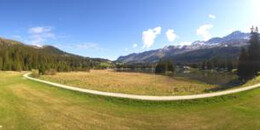 Heidsee Bargias