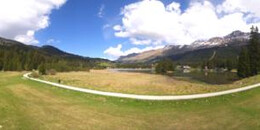 Heidsee Bargias