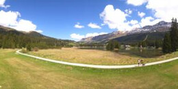 Heidsee Bargias