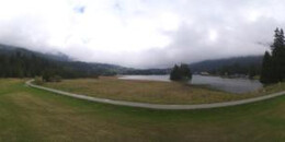 Heidsee Bargias