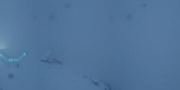 Weisshorn