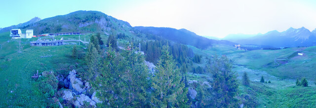 Bear Sanctuary